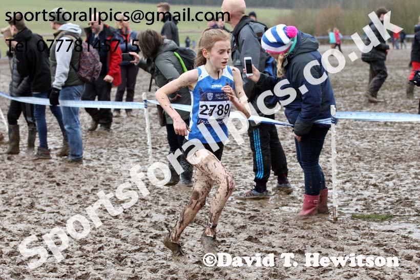 Girls under-13s 2018 British Inter Counties Cross Country Champs., Prestwold Hall, Loughborough. Photo: David T. Hewitson/Sports for All Pics